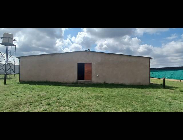 FARM TO LET IN NELSONIA
